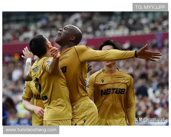 水晶宫足球俱乐部官网为球迷提供的全面赛事直播、新闻资讯及会员服务介绍