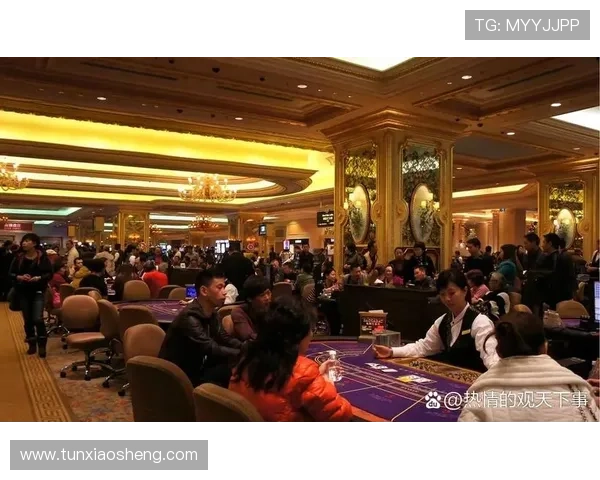 澳门六大赌牌有哪些详细介绍以及每个赌牌的具体作用解析