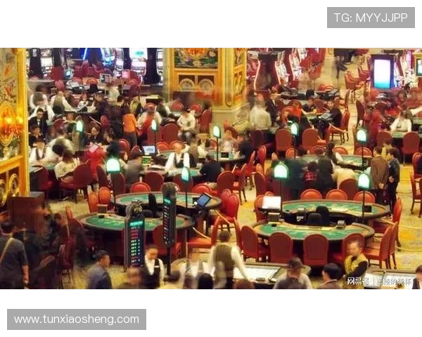 澳门十大赌厅排名详解，最受玩家欢迎的赌厅有哪些值得一试