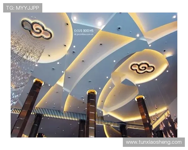 澳门新濠博亚娱乐有限公司在澳门经济转型中的重要作用与发展机遇